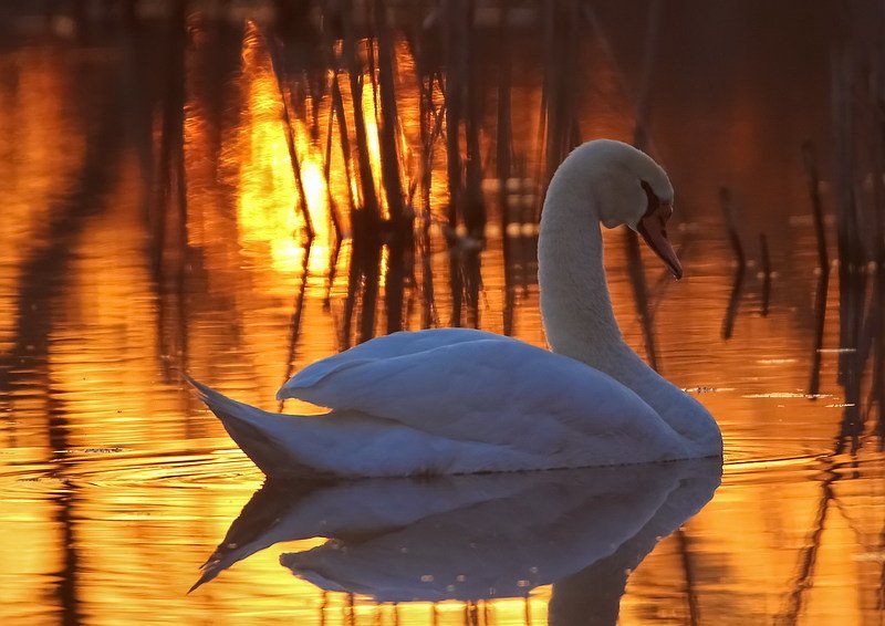 Все имеет свой закат…photo preview