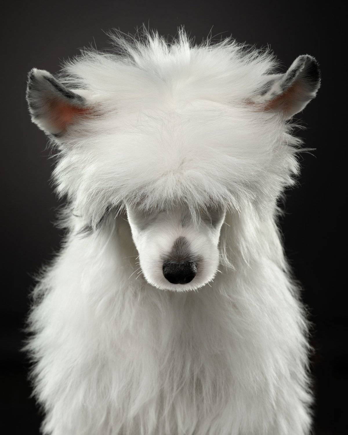 Автор: Анна Аверьянова , Анна Аверьянова