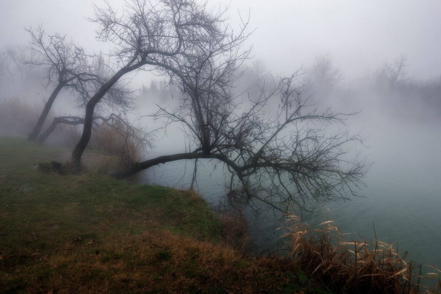 ПРИЗРАКИ ТУМАНА. Автор: Alexander Plekhanov , Alexander Plekhanov