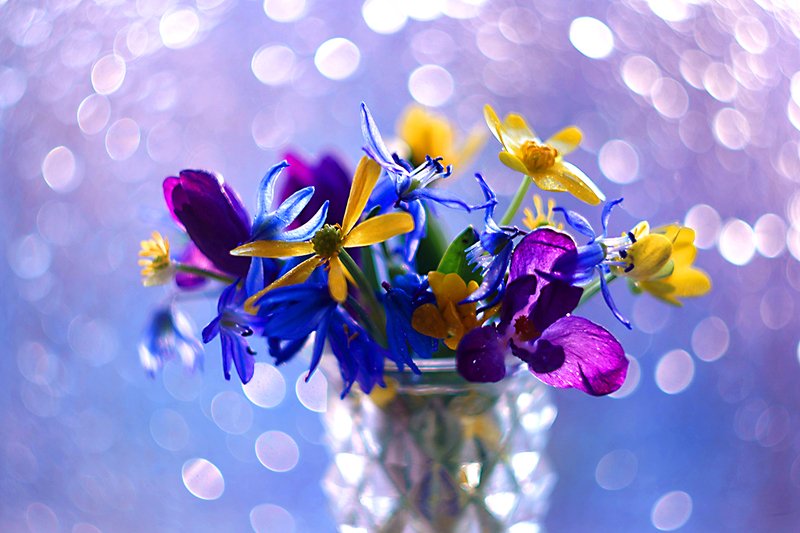 Весеннее настроение...photo preview