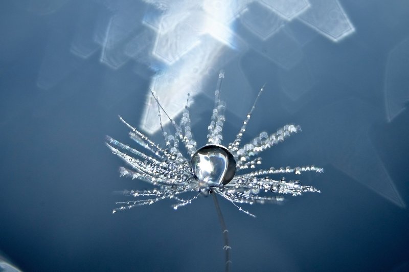 Геометрияphoto preview