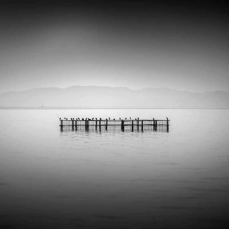 The taihu lakephoto preview