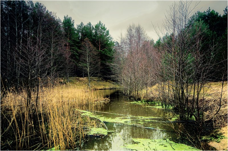 Тихое место.photo preview