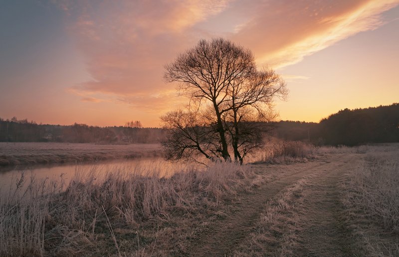 утро, свислочь, туман, весна, пейзаж Весенний рассветphoto preview