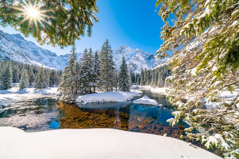 Polska, tatry, gory, drzewa, krajobraz, widok, słońce, morskie oko, śnieg, zima, rybi potok, dolina Rybi Potokphoto preview