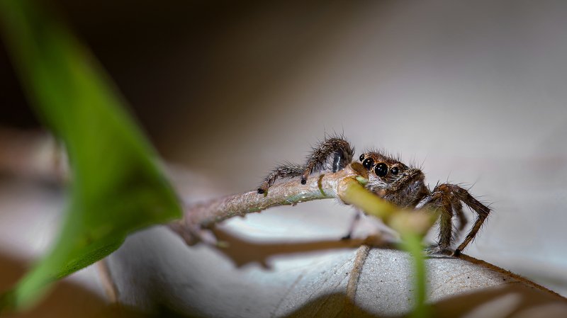 Боимся...photo preview