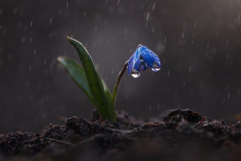 Весенние зарисовкиphoto preview