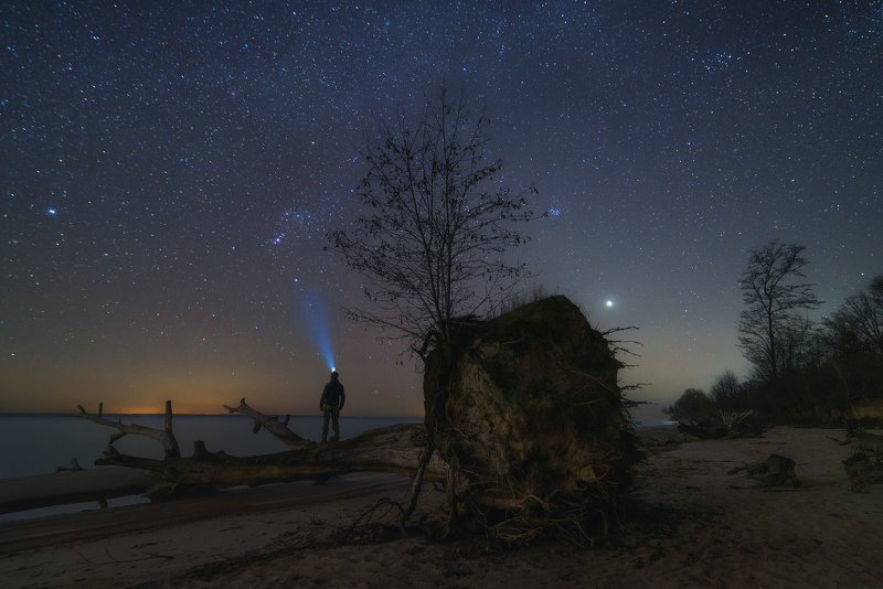 ночь, звезды, созвездия, орион, м42, венера, дерево, ветки, пень, пенёк, пляж, песок, вода, река, водохранилище, человек, фонарь, весна Жизнь и смерть. Союзphoto preview