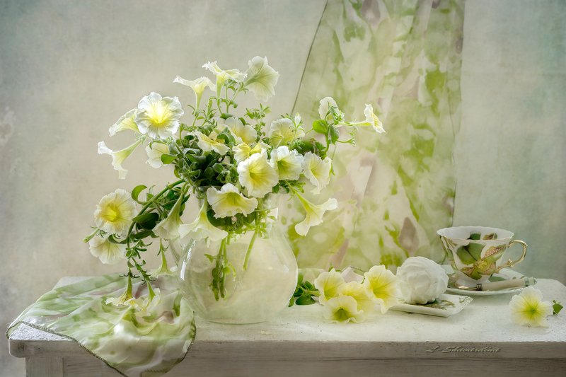 Петунияphoto preview