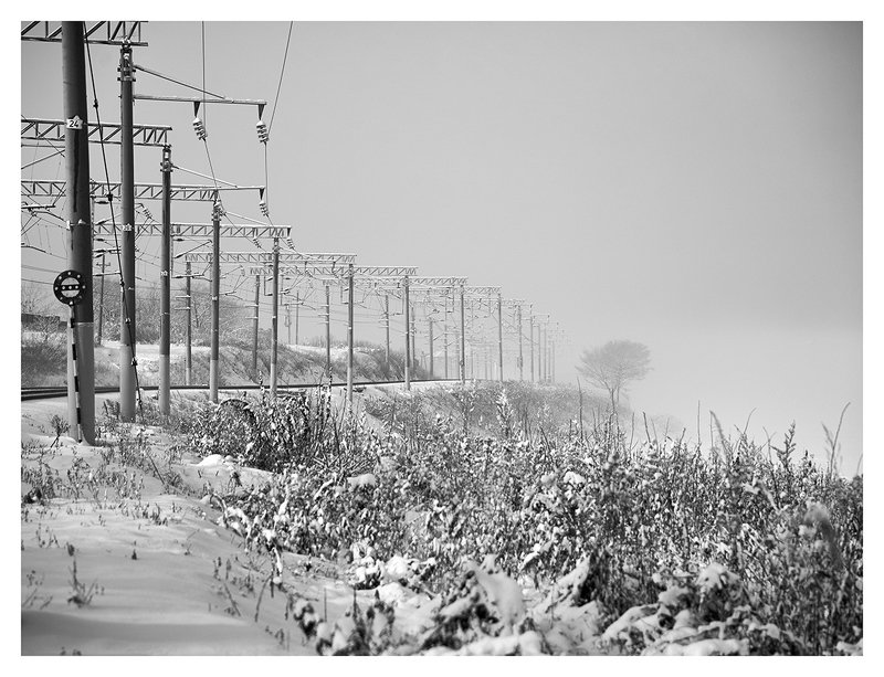 шёл мимоphoto preview