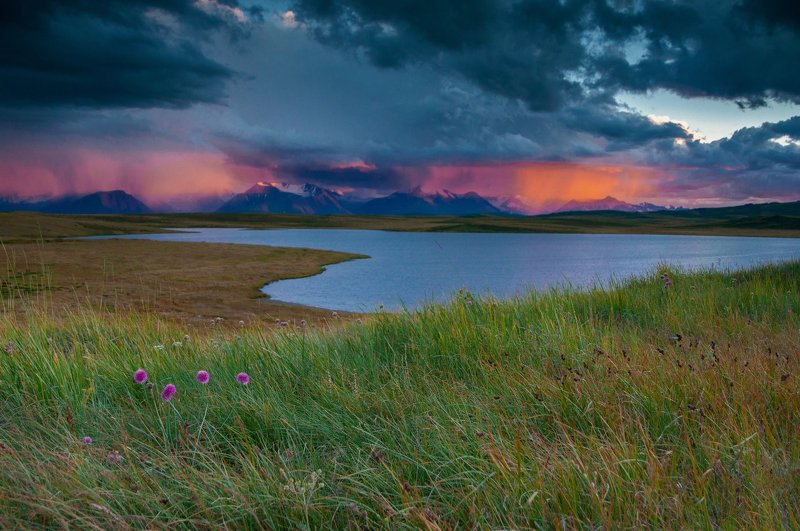 алтай,укок огненный дождьphoto preview