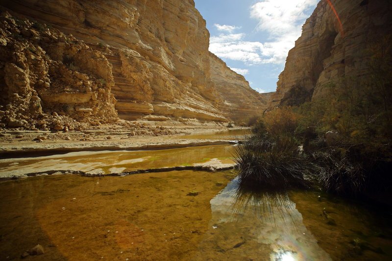 israel, израиль, каньон, эйн, ein, авдат, עין עבדת‎, avdat Авдатphoto preview