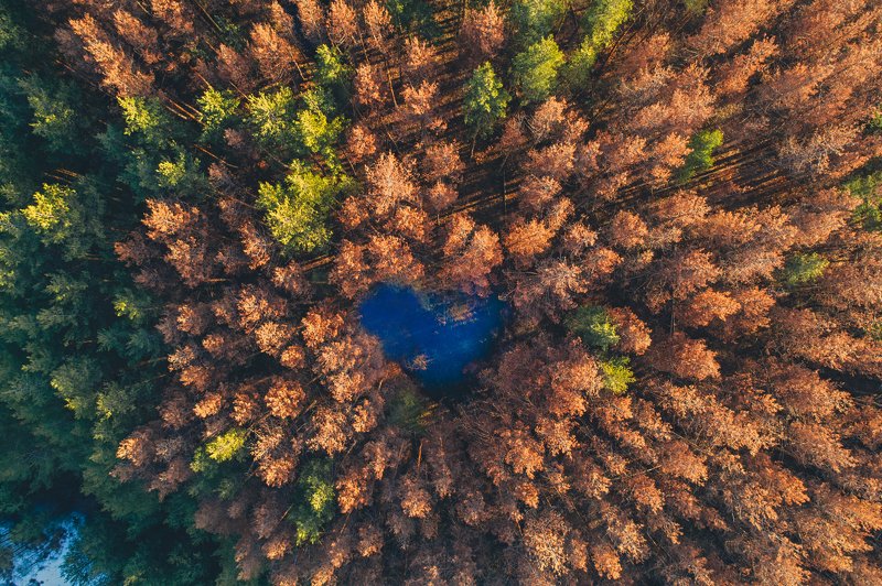 Сердце природыphoto preview