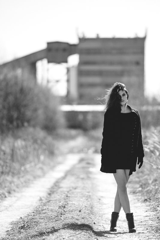 Выпуская черных птиц фото превью