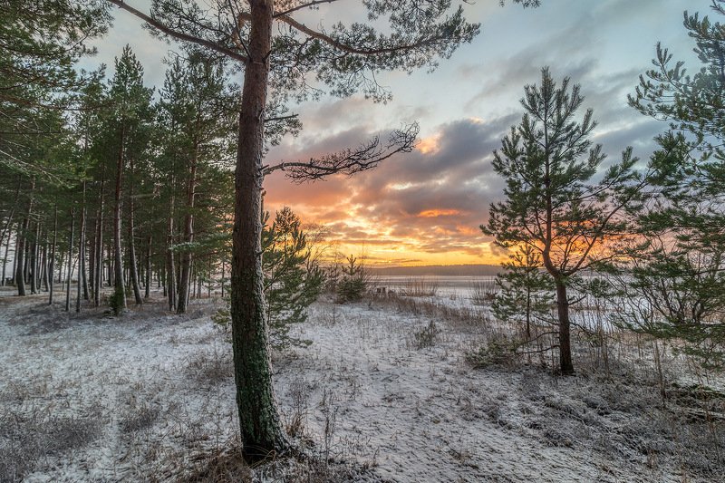 Лес на закатеphoto preview