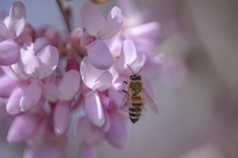 По весеннему..photo preview