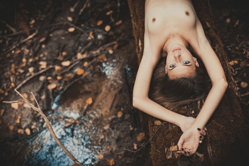 forest eroticphoto preview