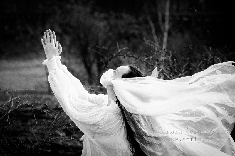 pandemic, woman, portrait, beauty ...photo preview