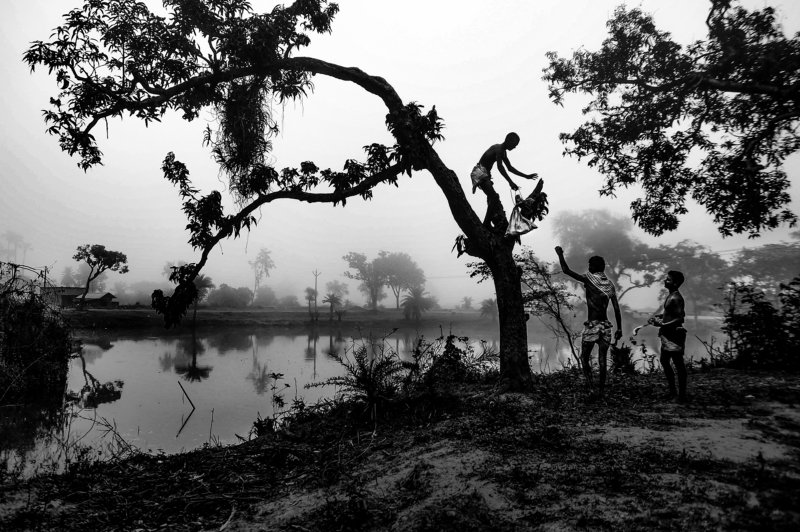 festival culture street  Gajanphoto preview