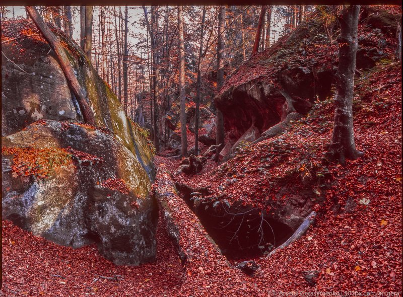 carpathians, carpathian mountains, pasture, countryside, picturesque, pine, tranquil, wood, rural, mountains, foliage, wonderland, land, meadow, field, scenic, tourism, season, house, autumn, mountain, landscape, fall, background, beautiful, tree, outdoor Autumn foliage trees in the Carpathian mountains. Fuji Velvia filmphoto preview