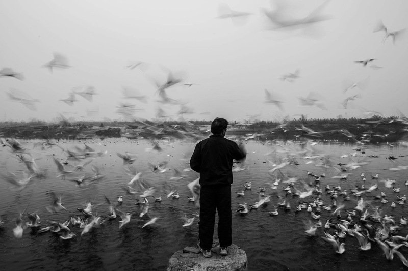 freedom Freedomphoto preview