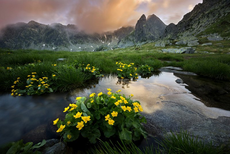 mountains, retezat, romania, sunset, landscape, nature, travel, summer, peak, clouds, flowers In Paradisephoto preview