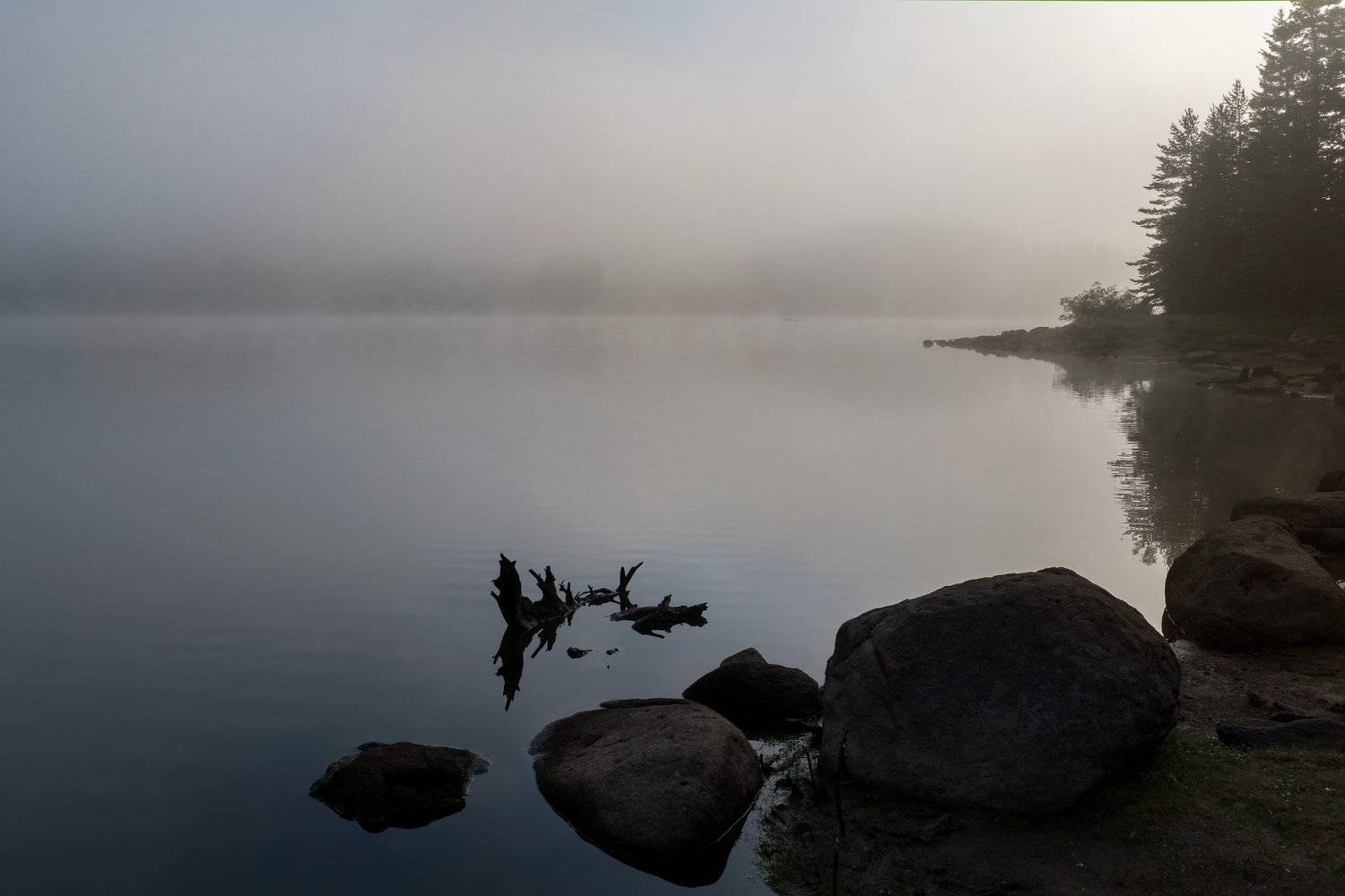 Утро. Автор: Александър Сандев , Александър Сандев
