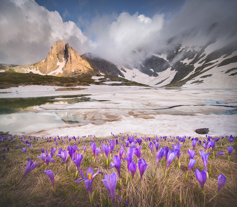 Between winter and springphoto preview