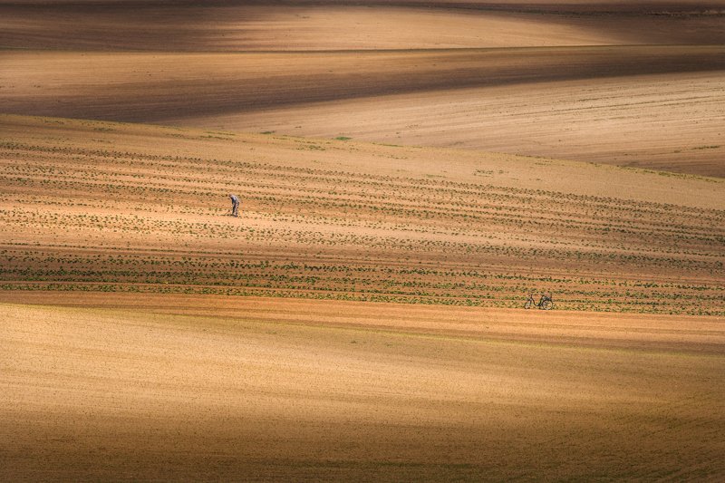 south moravia, czech republic, fields, hills, shadows, journey, travel Moravian crinclesphoto preview