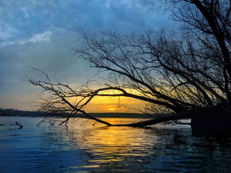 пейзаж,закат,краски,небо,landscape,sky,sunset,река,отражение,вода,дерево,вечер,хортица,релакс На исходе мартаphoto preview