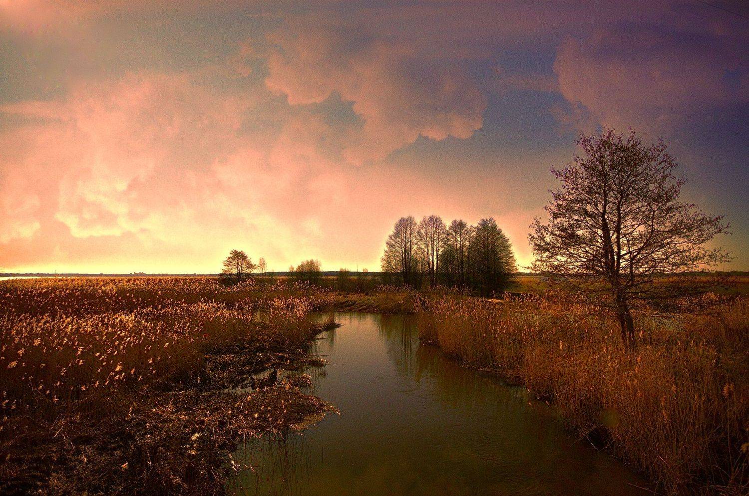 ***. Автор: Viktor , Viktor