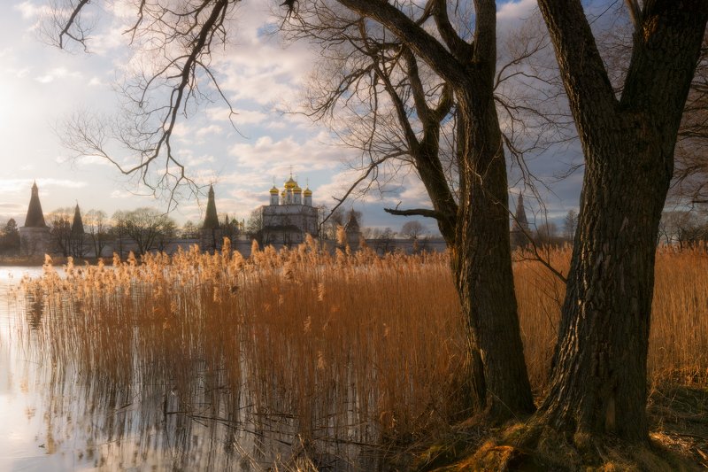 #весна #облака #деревья #озеро #разлив #ветер #небо И ветер рисовал сюжетphoto preview