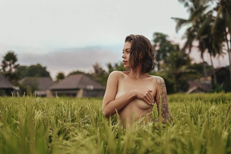 поле, луг, девушка, летний дождь, мокрые волосы, рисовое поле, закат, рассвет, загорелая кожа, татуировка, nu, nude, ню, nature, модель, model Катяphoto preview