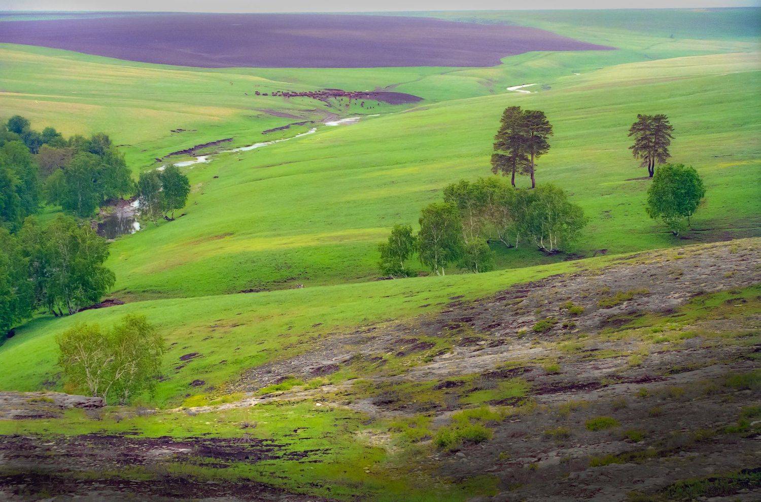 карагай, петр чиков