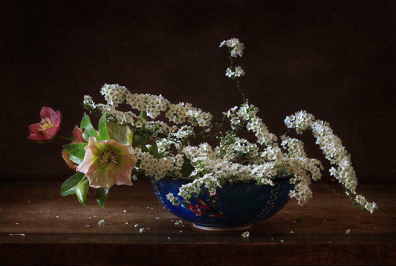 натюрморт .. с ветками спиреи .. фото превью