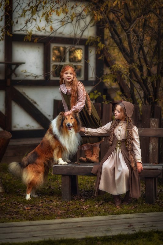 дети, колли, собака, рыжие, девочка  фото превью