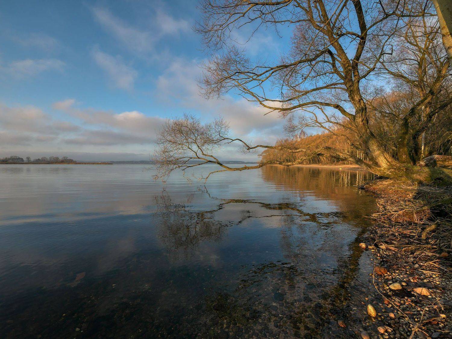 , Сергей Харитон