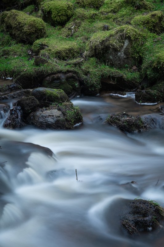 Речной идолphoto preview