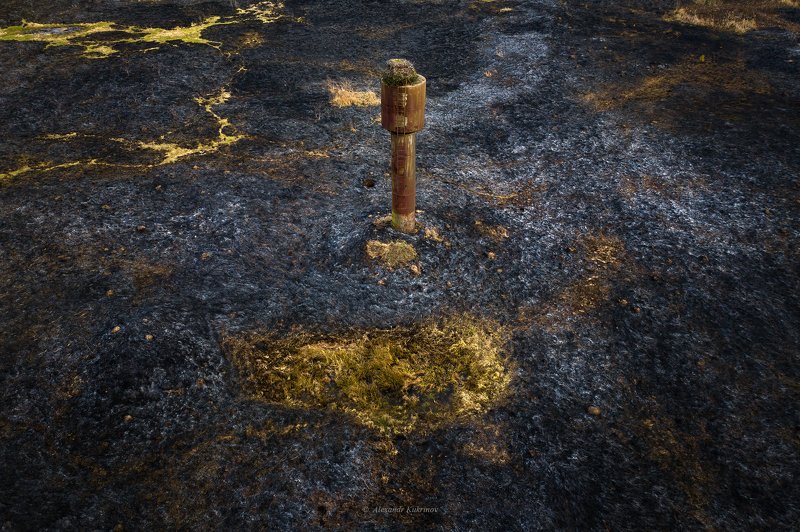 весна,пал,аист, Ожидание весны...photo preview