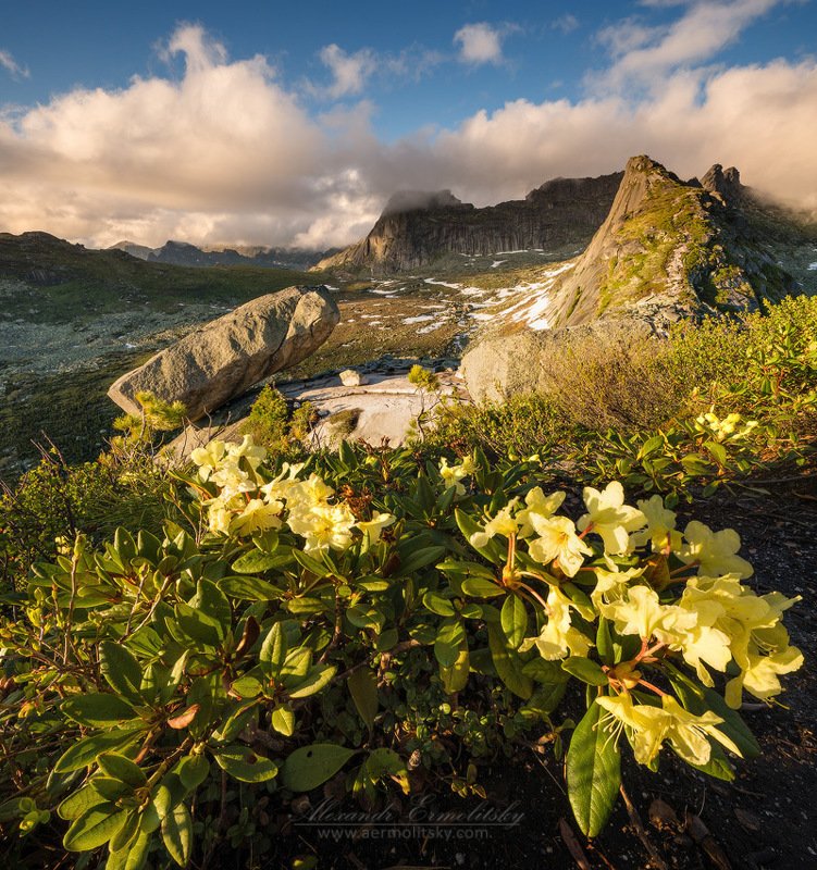 ~ Начало ~ фото превью