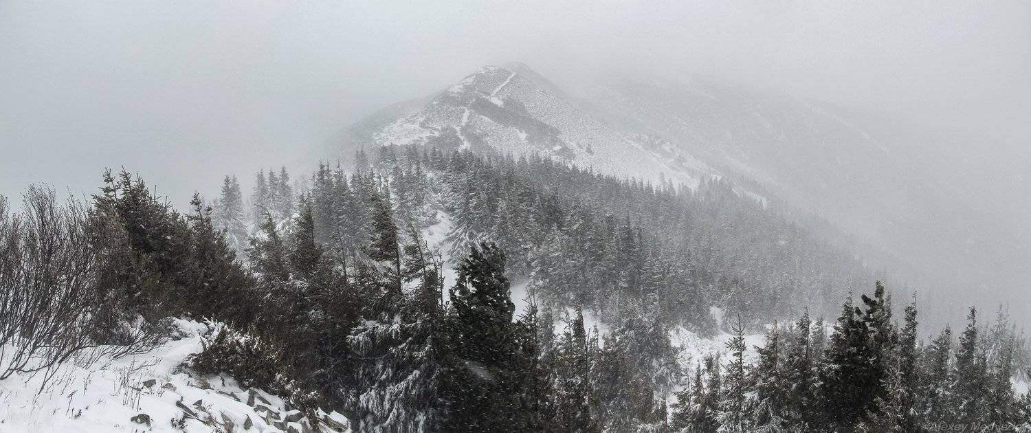 украина, карпаты, карпати, горганы, сывули, сивулянський, хребет, зима,, Алексей Медведев