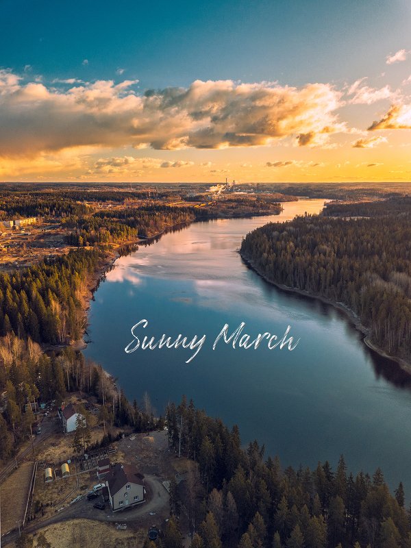 ленинградская область_выборгский район_река вуокса_закат_март_лес_предкарантин Солнечный март.photo preview