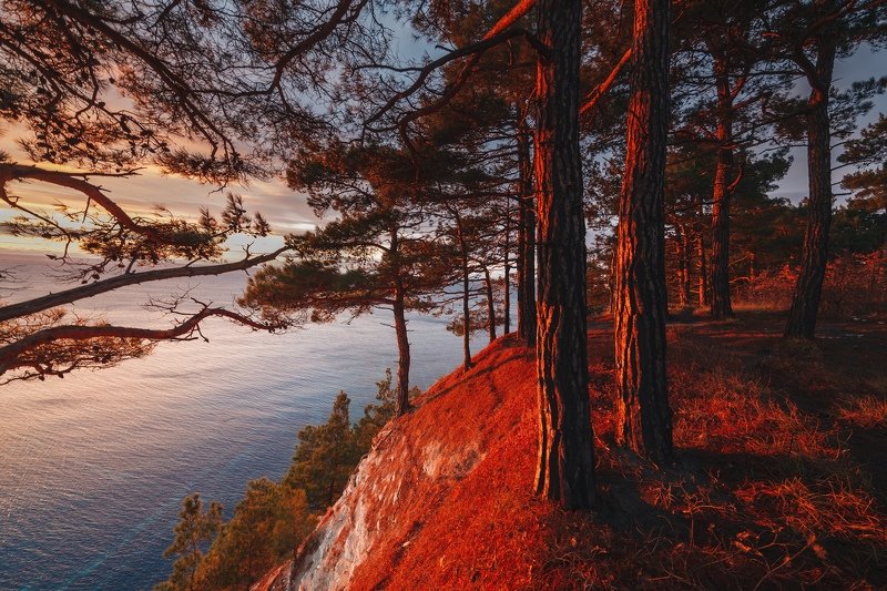 Геленджик  Огненно красныйphoto preview