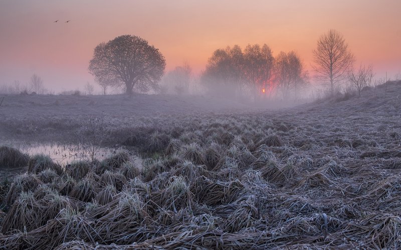 Рассветphoto preview