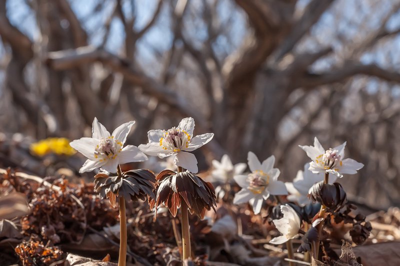 Под надёжной защитой.photo preview