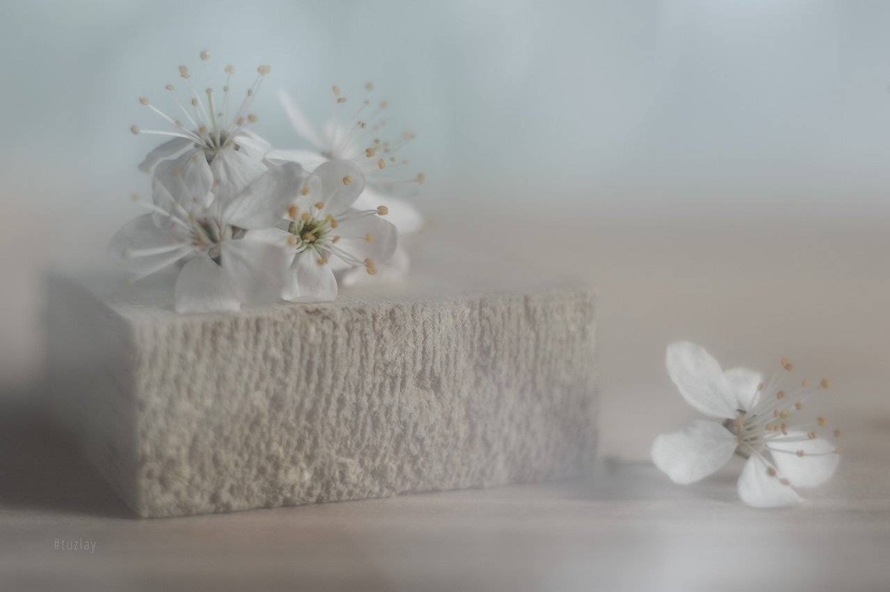 Фантазии с бруском. Автор: Владимир Тузлай , Владимир Тузлай