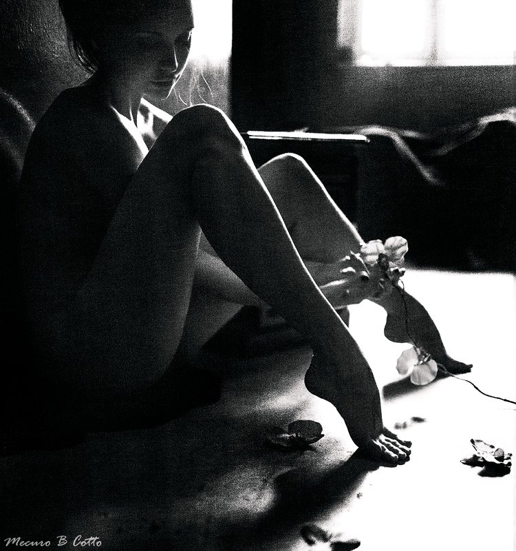 mecuro mecurobcotto mecuro b cotto ***photo preview