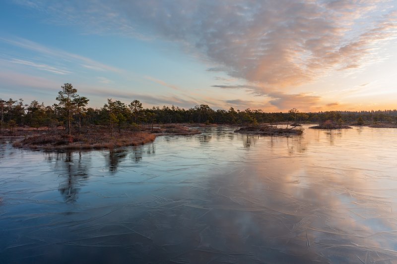swamp,moor,march,kemeri,lake,forest,sunrise,latvia,reflection,nature,landscape, Destination springtimephoto preview