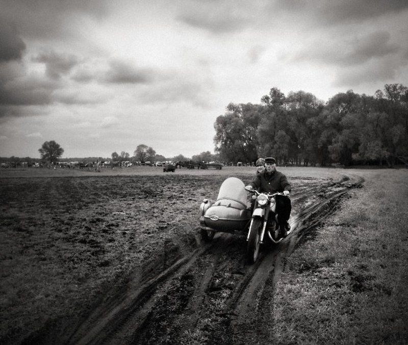 Жизнь вместеphoto preview