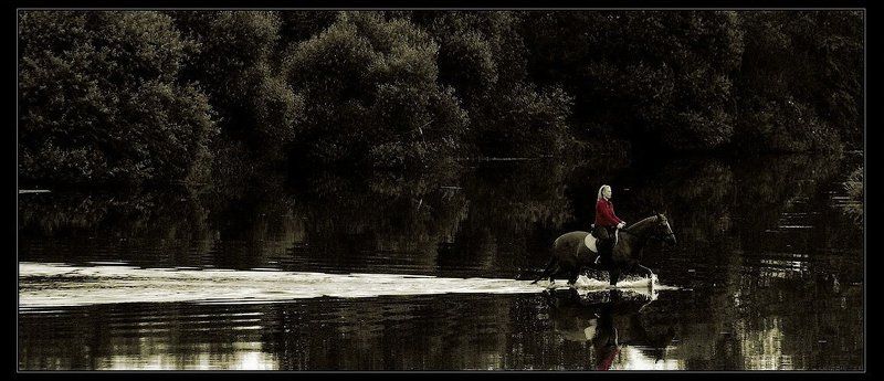 вода, лошадь, тишина Рассекая тишину...photo preview